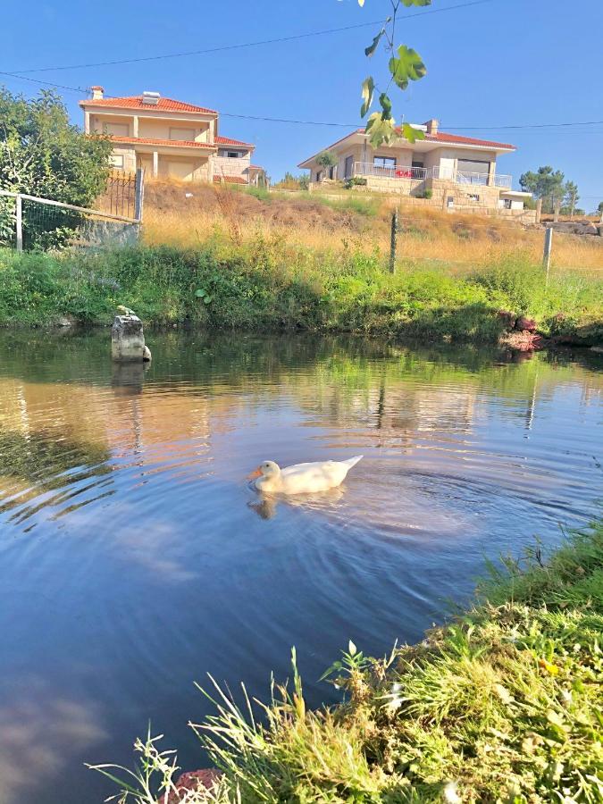 Casa Da Quinta Da Prelada Simao Partie Basse Villa Celorico De Basto Buitenkant foto