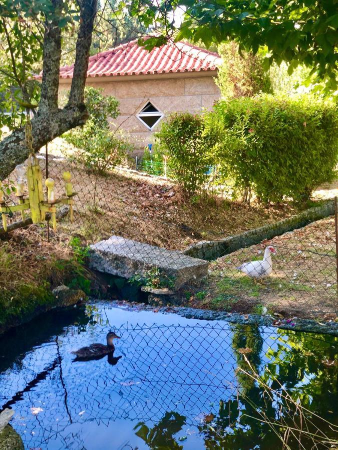 Casa Da Quinta Da Prelada Simao Partie Basse Villa Celorico De Basto Buitenkant foto