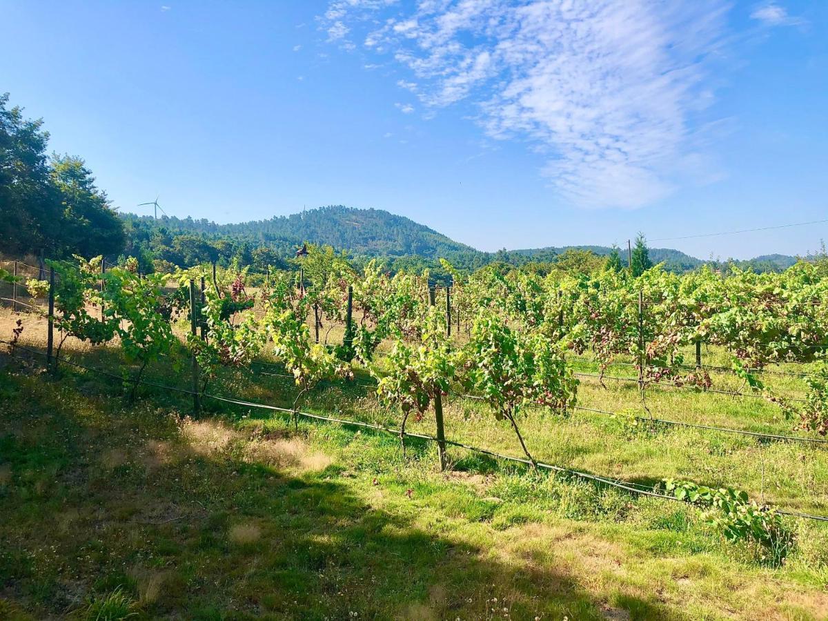 Casa Da Quinta Da Prelada Simao Partie Basse Villa Celorico De Basto Buitenkant foto