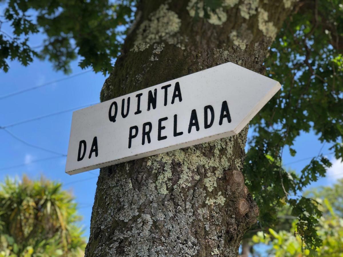 Casa Da Quinta Da Prelada Simao Partie Basse Villa Celorico De Basto Buitenkant foto