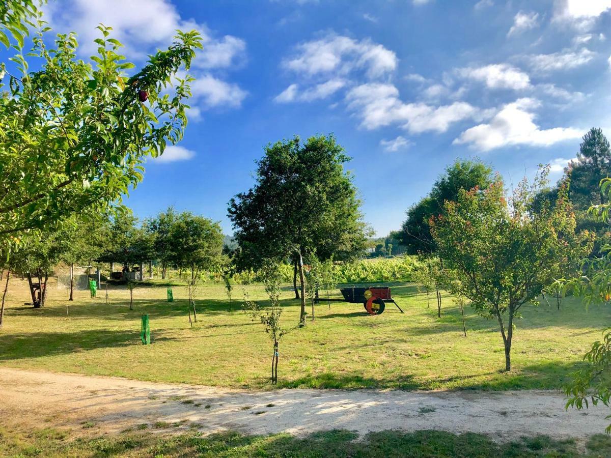 Casa Da Quinta Da Prelada Simao Partie Basse Villa Celorico De Basto Buitenkant foto