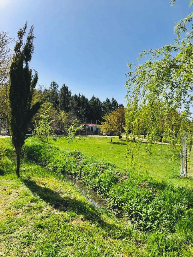Casa Da Quinta Da Prelada Simao Partie Basse Villa Celorico De Basto Buitenkant foto